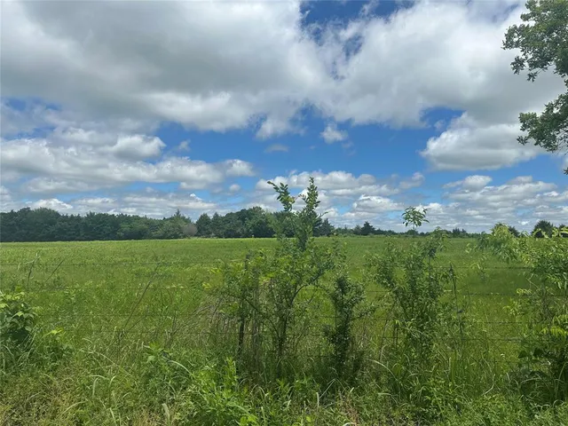 a view of a city with lush green forest