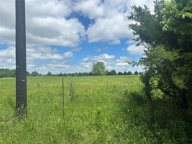 a view of a green field with lots of green space