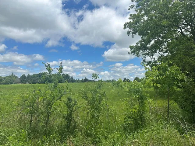 a view of a green field with lots of green space