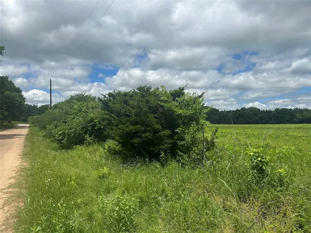 a view of a city with lush green forest