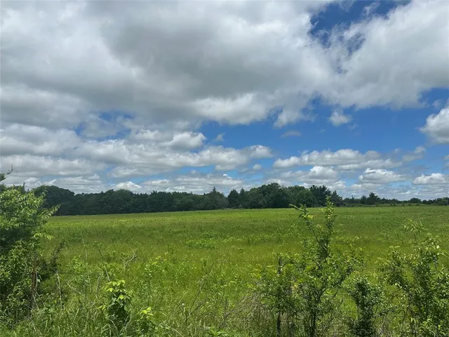 a view of a city with lush green forest