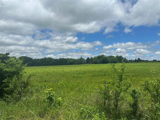 a view of a lake from a yard