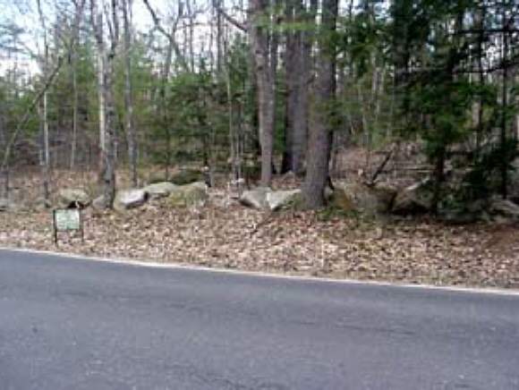 175 Deer Meadow Road Webster, NH 03303 - Photo 1 of 1