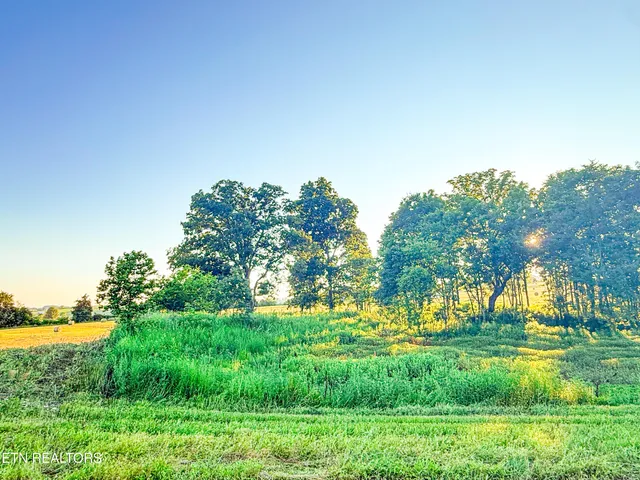 $279,900 | 20 Summerset Drive, Talbott, TN 37877