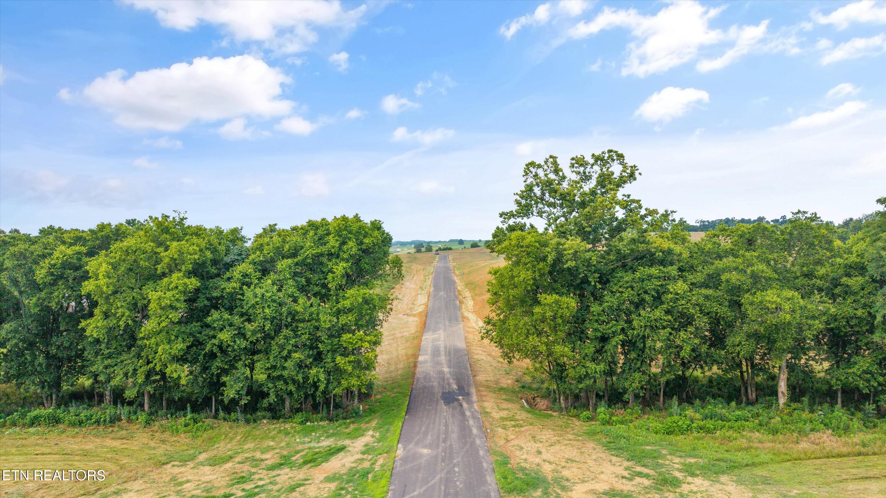 20 Summerset Drive Talbott, TN 37877 - Photo 8 of 11 38-1701 Talbott-Kansas Rd-40