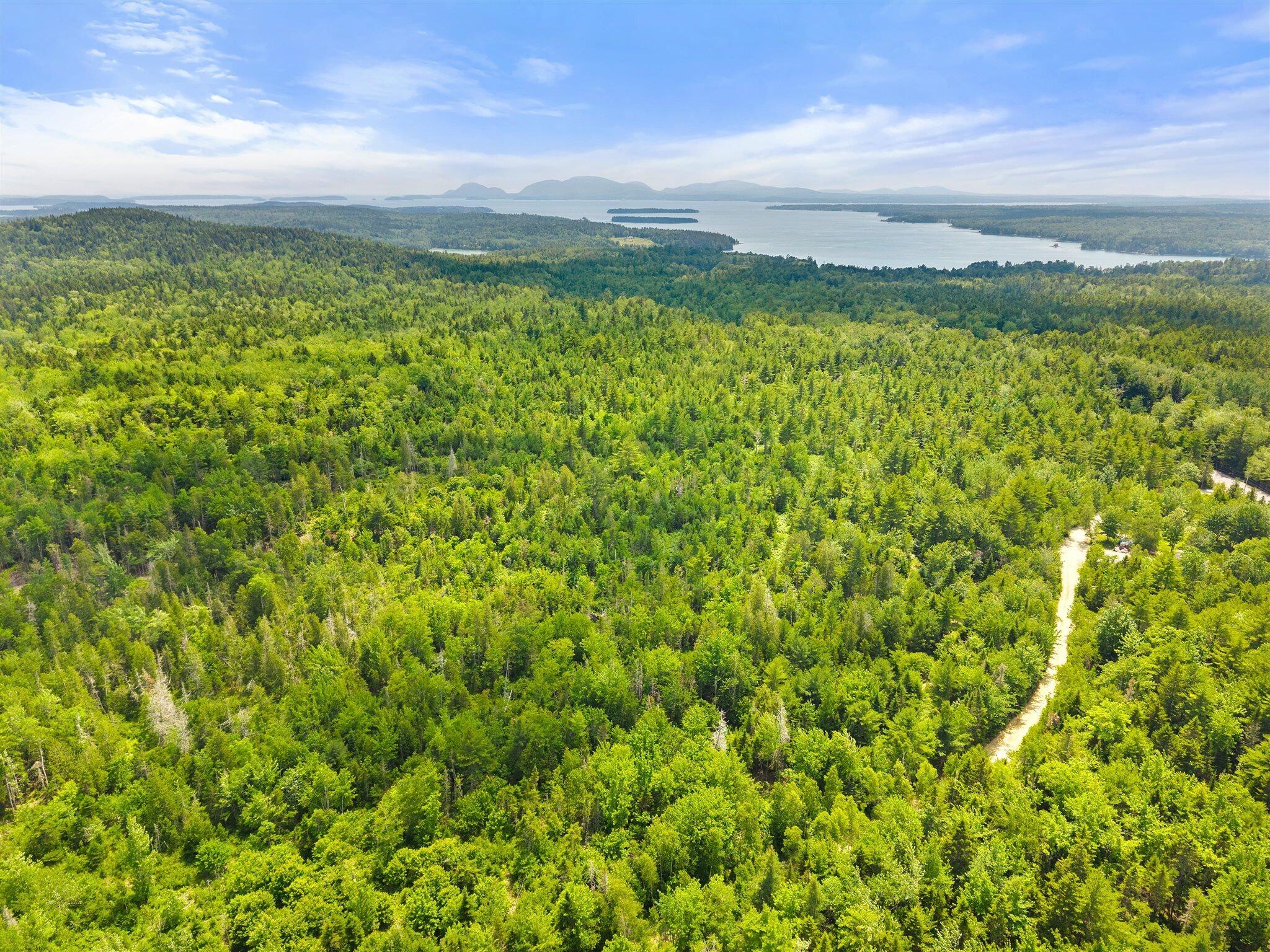 0 Catamount Road Sullivan, ME 04664 - Photo 11 of 23 11-Bert Gray Rd