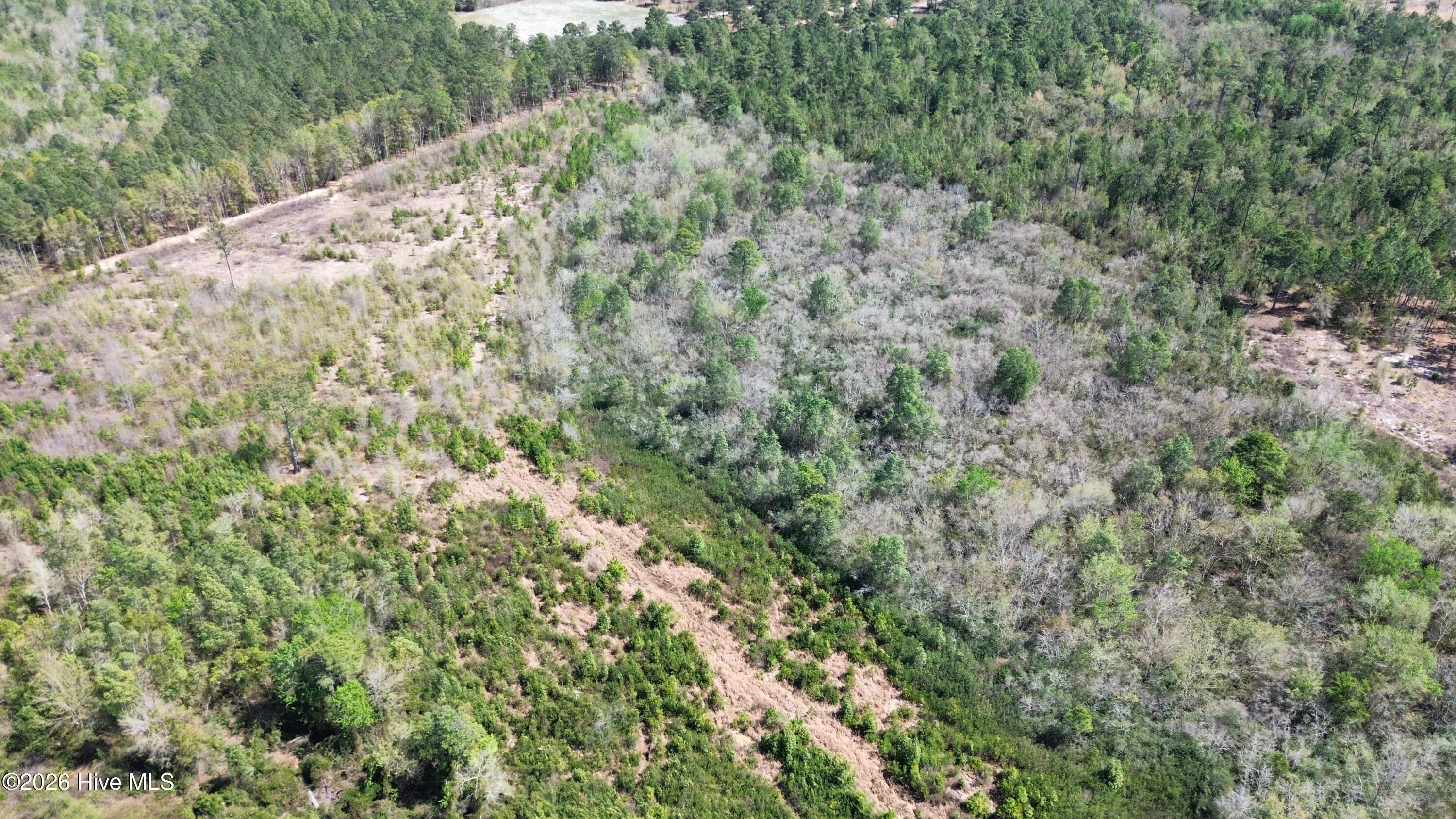 0 Wilbur Pridgen Road Harrells, NC 28444 - Photo 5 of 7 dji_fly_20260401_141740_7_1775096011165_