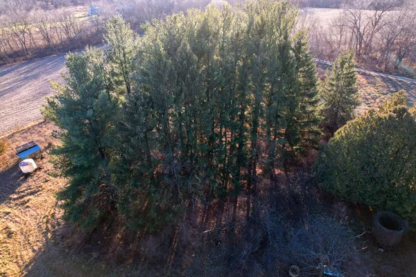 a view of outdoor space and covered with trees