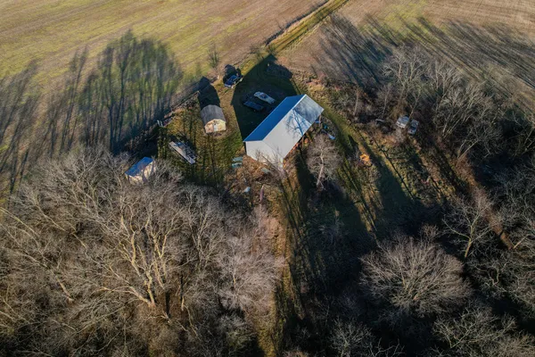 a view of backyard with hardwood