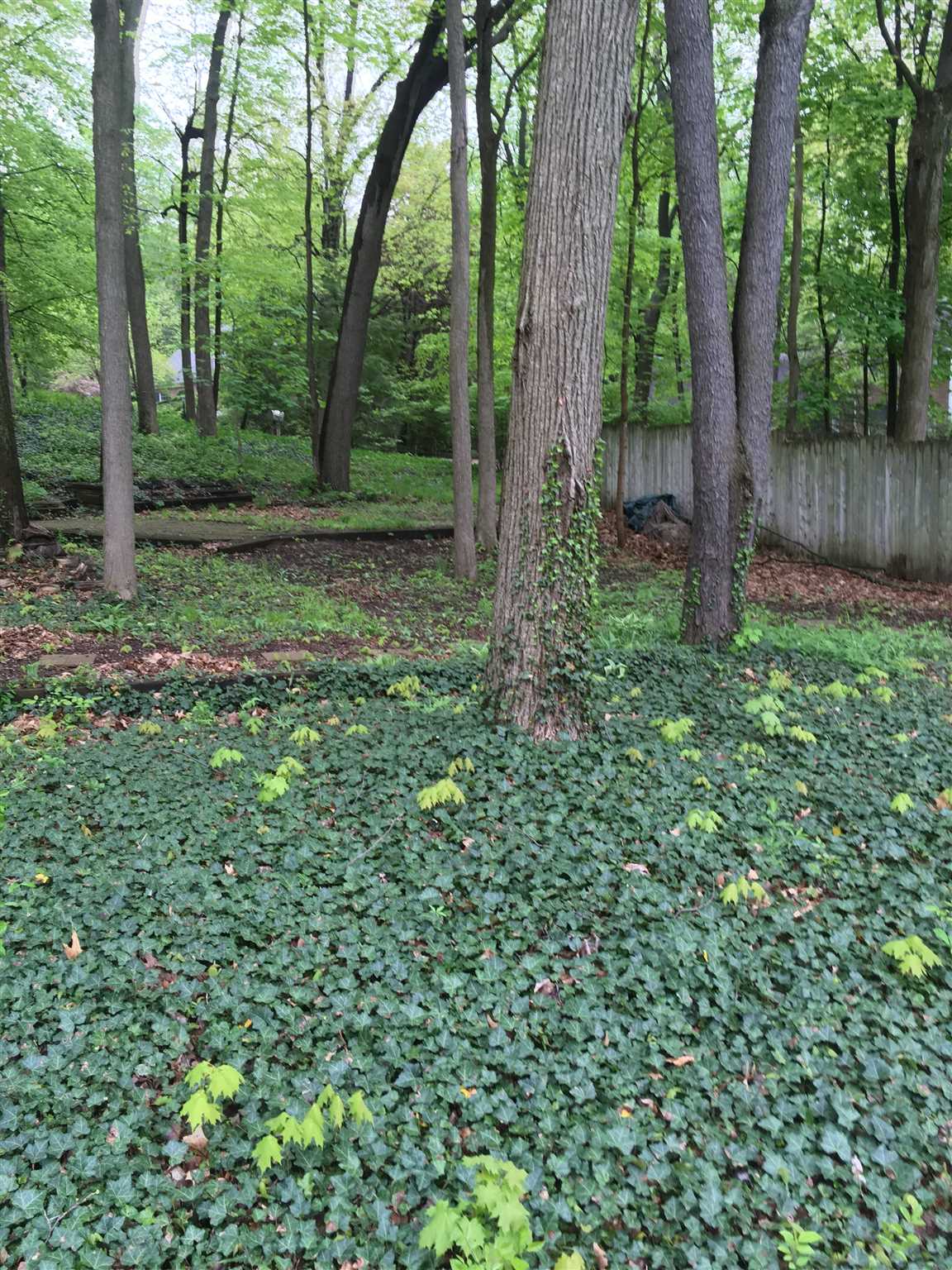 1148 Ridgedale Road South Bend, IN 46614 - Photo 26 of 29 Gallery Image 26