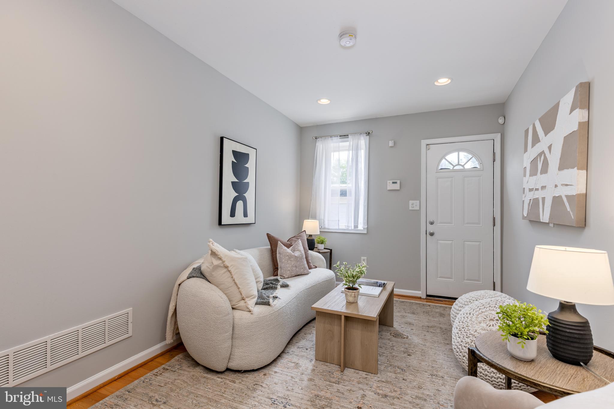 305 South Castle Street Baltimore, MD 21231 - Photo 3 of 28 a living room with furniture and a potted plant