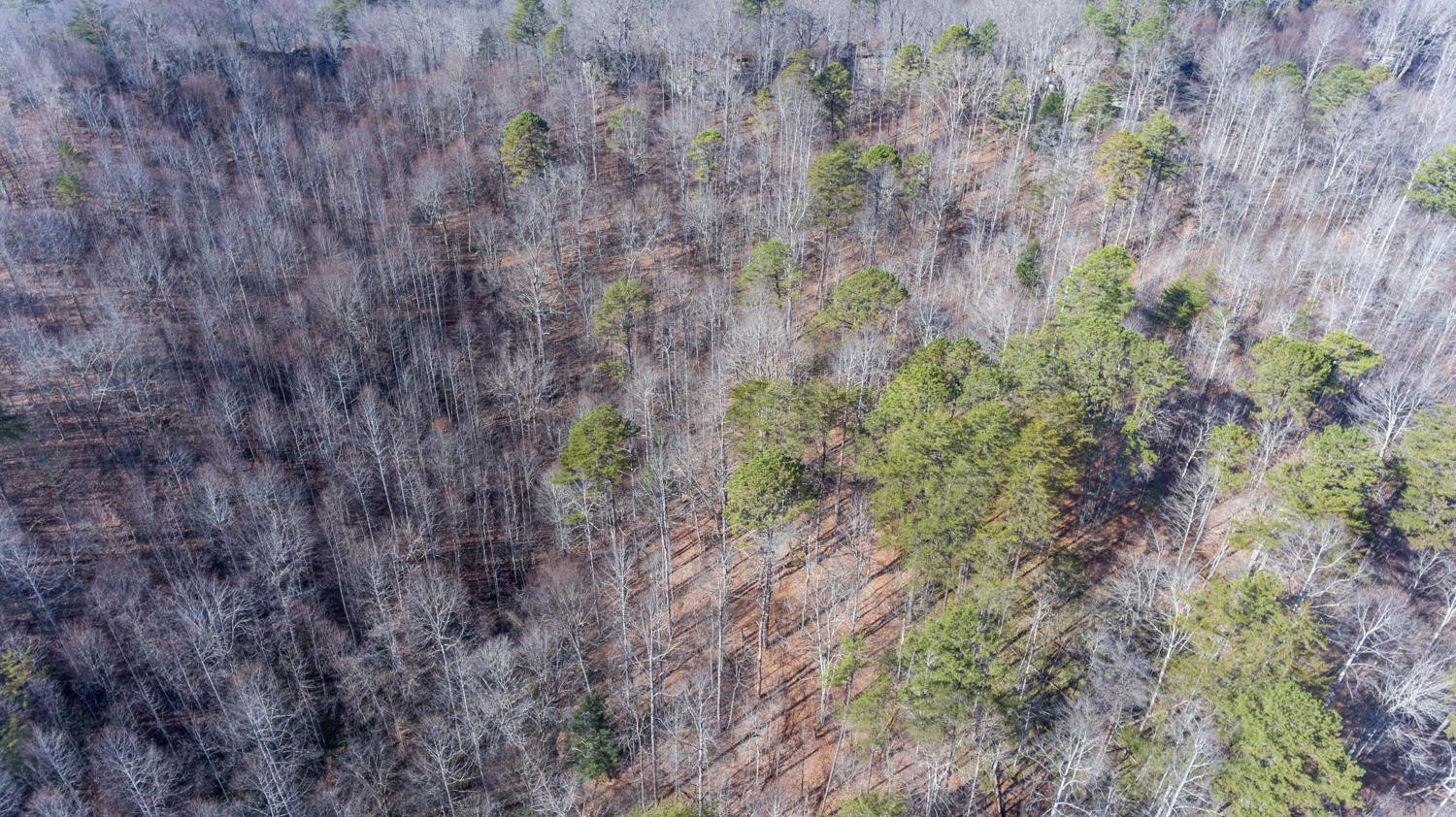 1077 Red Hill Road Livingston, KY 40445 - Photo 20 of 28 Listing Photo
