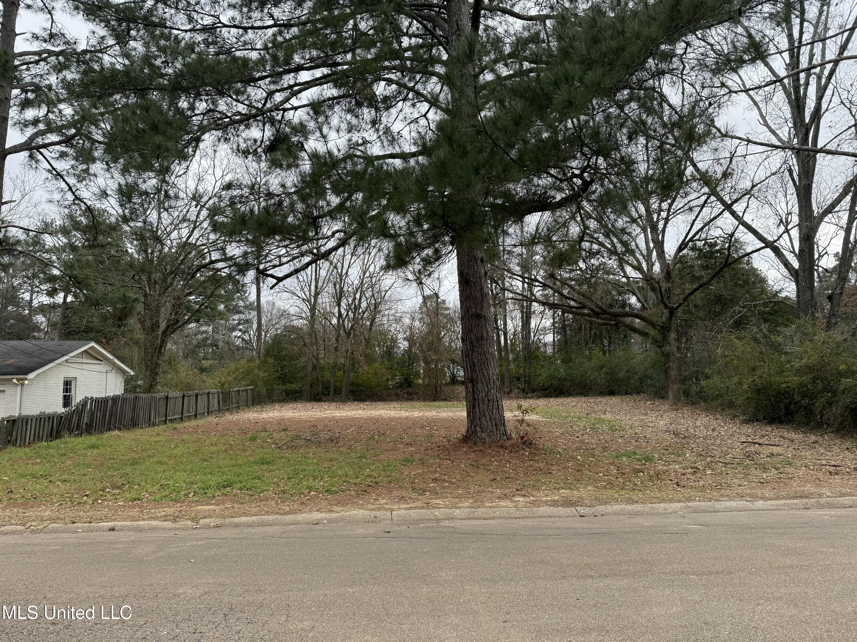 0 Dunton Road Clinton, MS 39056 - Photo 1 of 2 IMG_0065