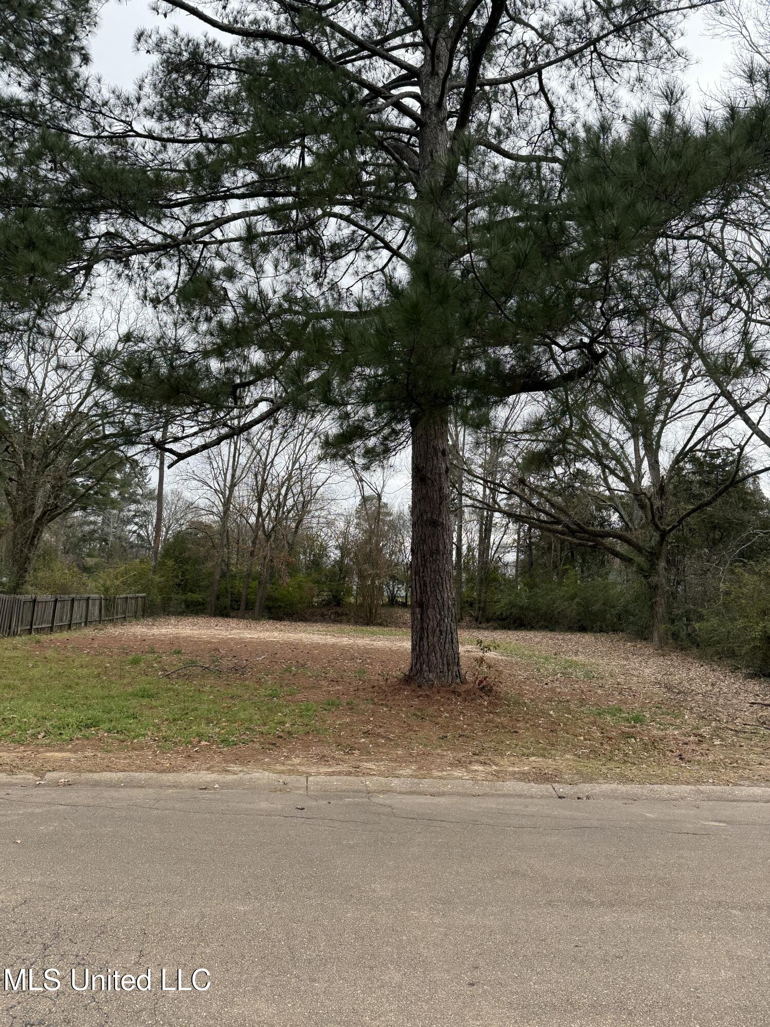 0 Dunton Road Clinton, MS 39056 - Photo 2 of 2 IMG_0064