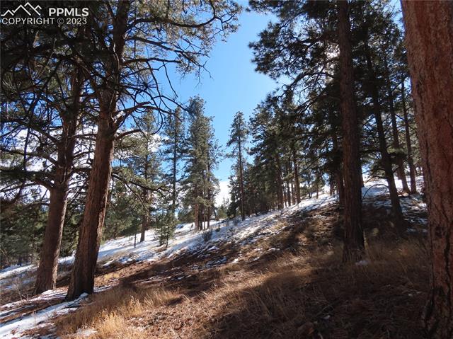 203 Pine Road Florissant, CO 80816 - Photo 7 of 20