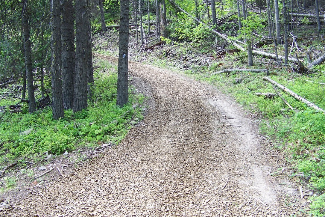 Two 2 Spring Road Cle Elum, WA 98922 - Photo 6 of 11 Gallery Image 6