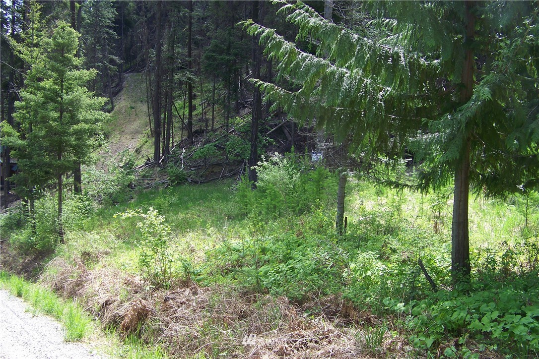 Two 2 Spring Road Cle Elum, WA 98922 - Photo 8 of 11 Gallery Image 8