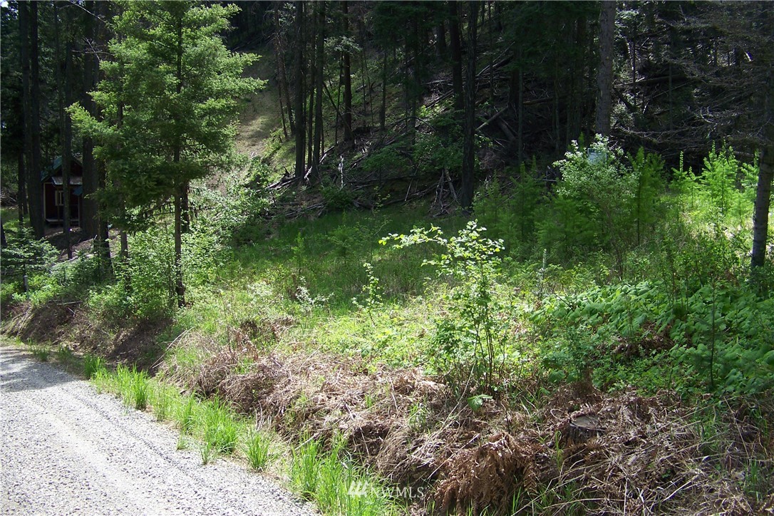 Two 2 Spring Road Cle Elum, WA 98922 - Photo 9 of 11 Gallery Image 9