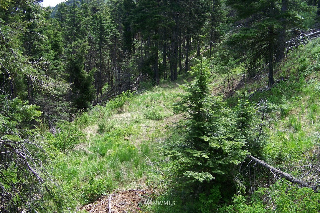 Two 2 Spring Road Cle Elum, WA 98922 - Photo 10 of 11 Gallery Image 10
