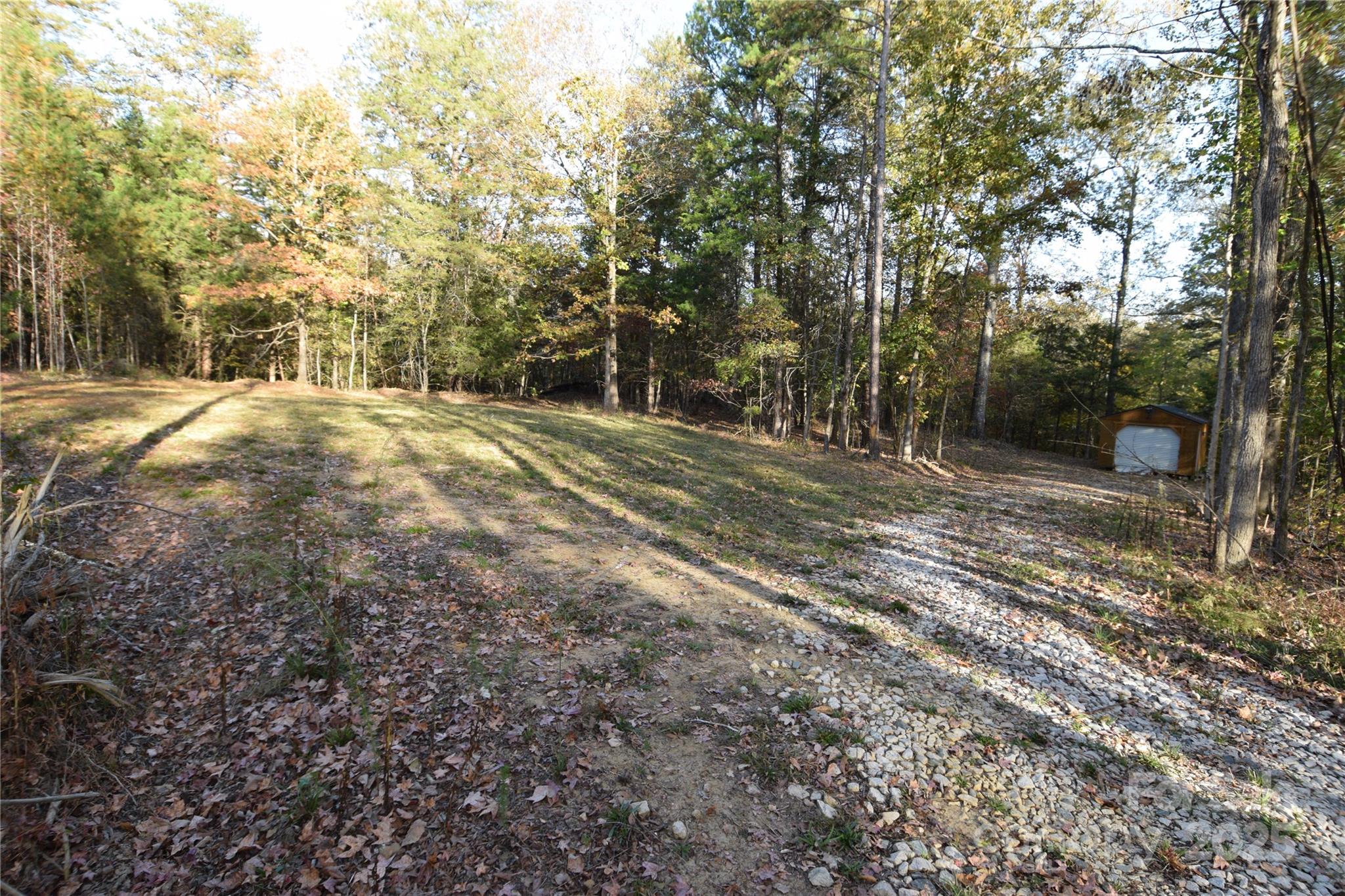 a view of outdoor space with trees