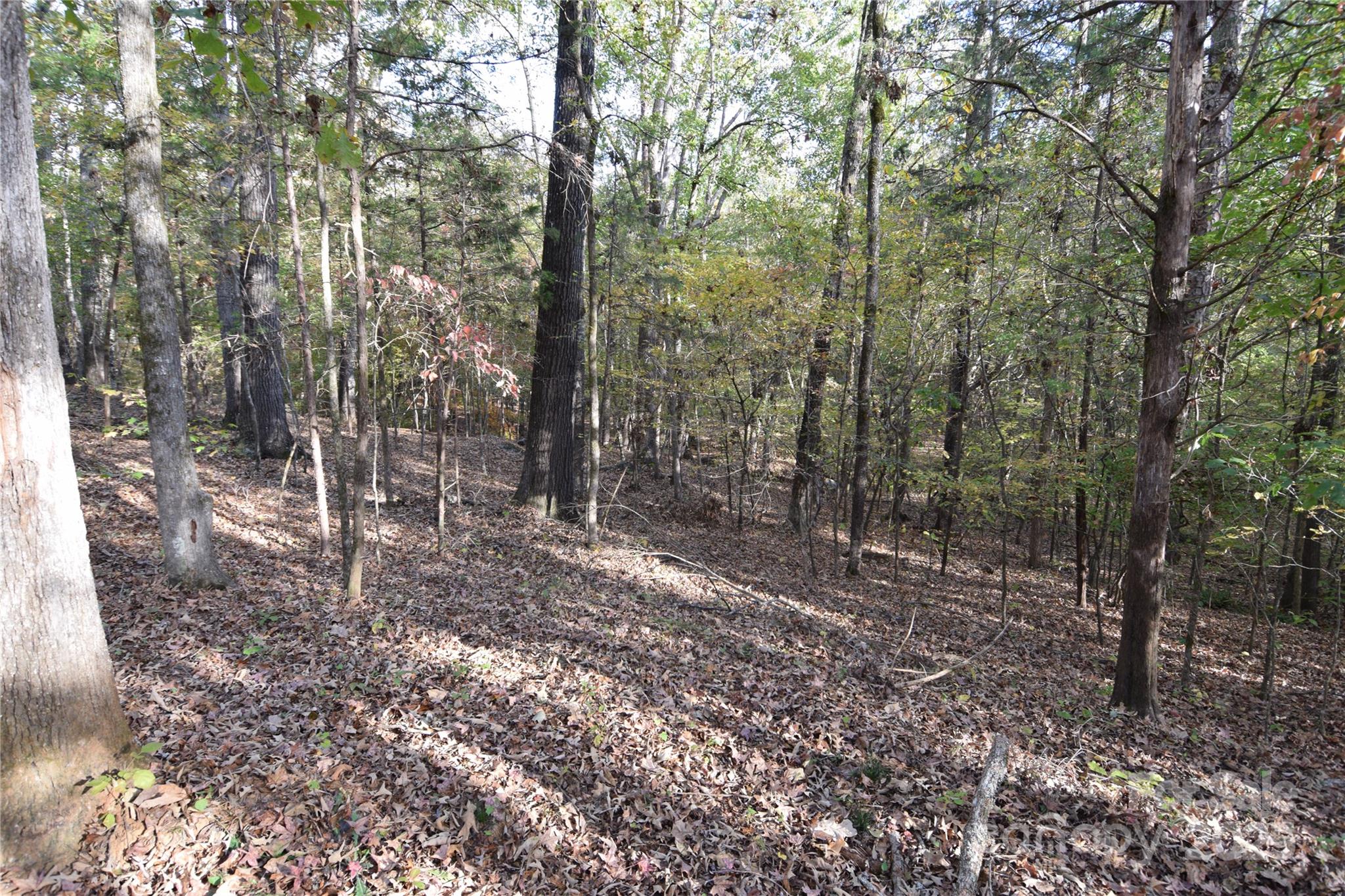3537 Shillinglaw Road Sharon, SC 29742 - Photo 16 of 24 Gallery Image 16