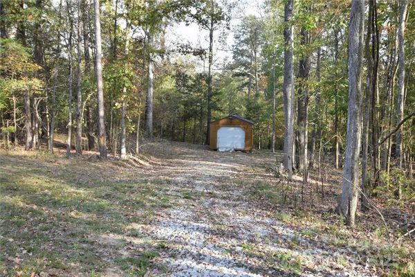 a view of a outdoor space with a tree