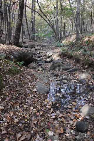 a view of backyard of house