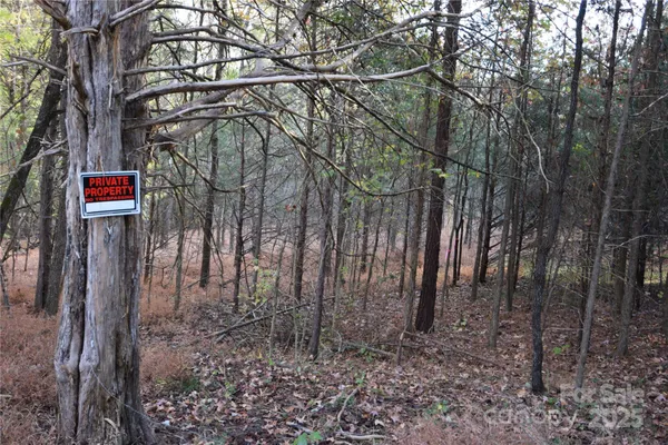 a flag is sitting in the forest