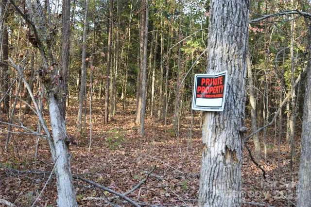 a sign that is sitting in front of a tree