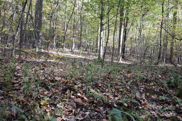 a view of outdoor space and trees