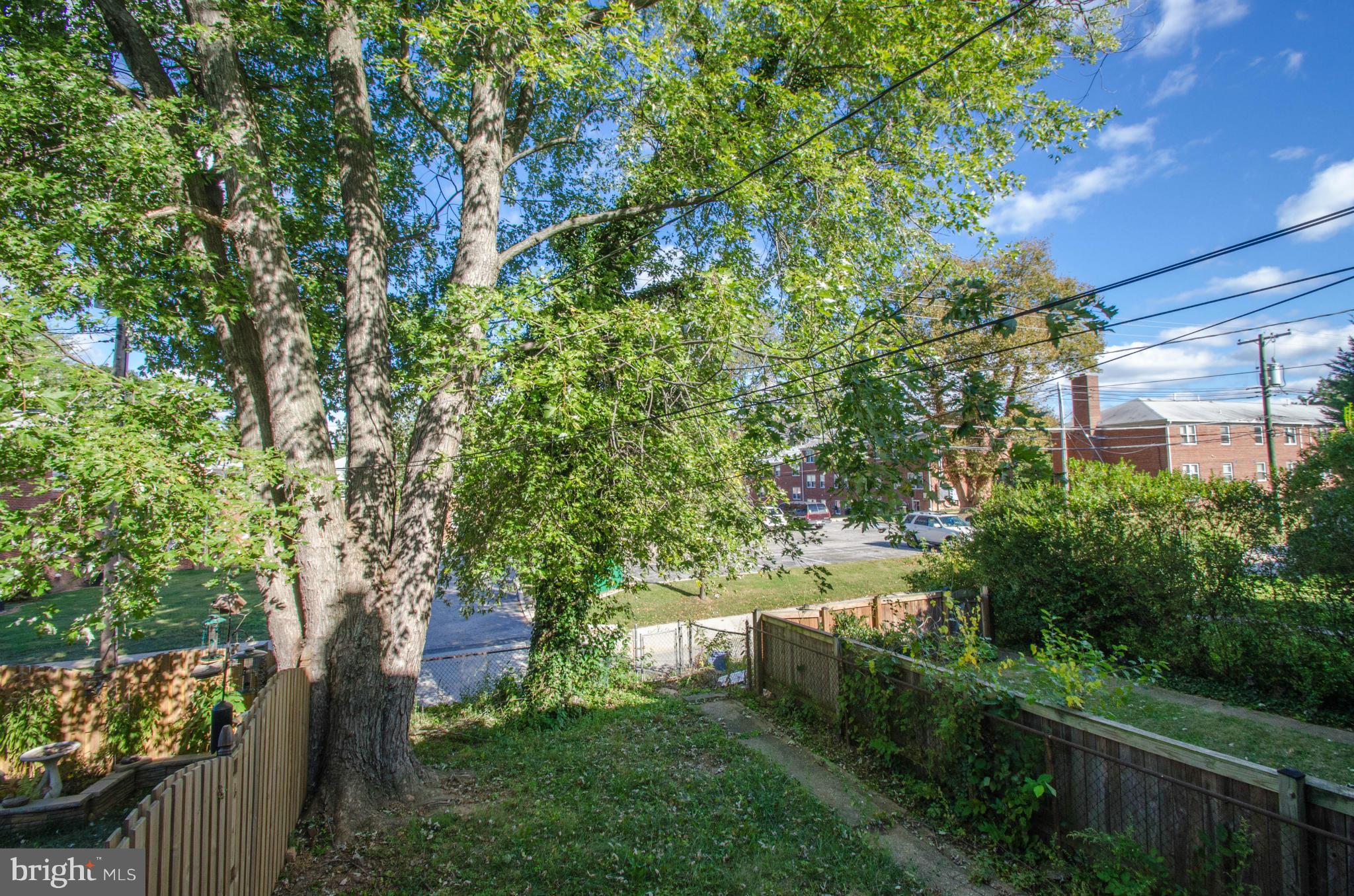 10 Murdock Road Baltimore, MD 21212 - Photo 26 of 26 a view of a yard with plants and a large tree