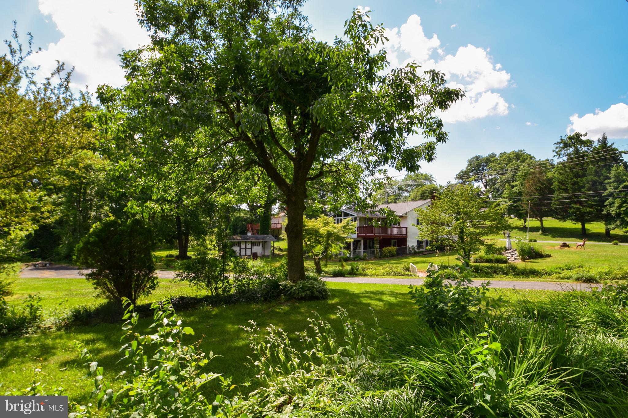 2409 Roth Road Edgewood, MD 21040 - Photo 34 of 37 Paradise found!