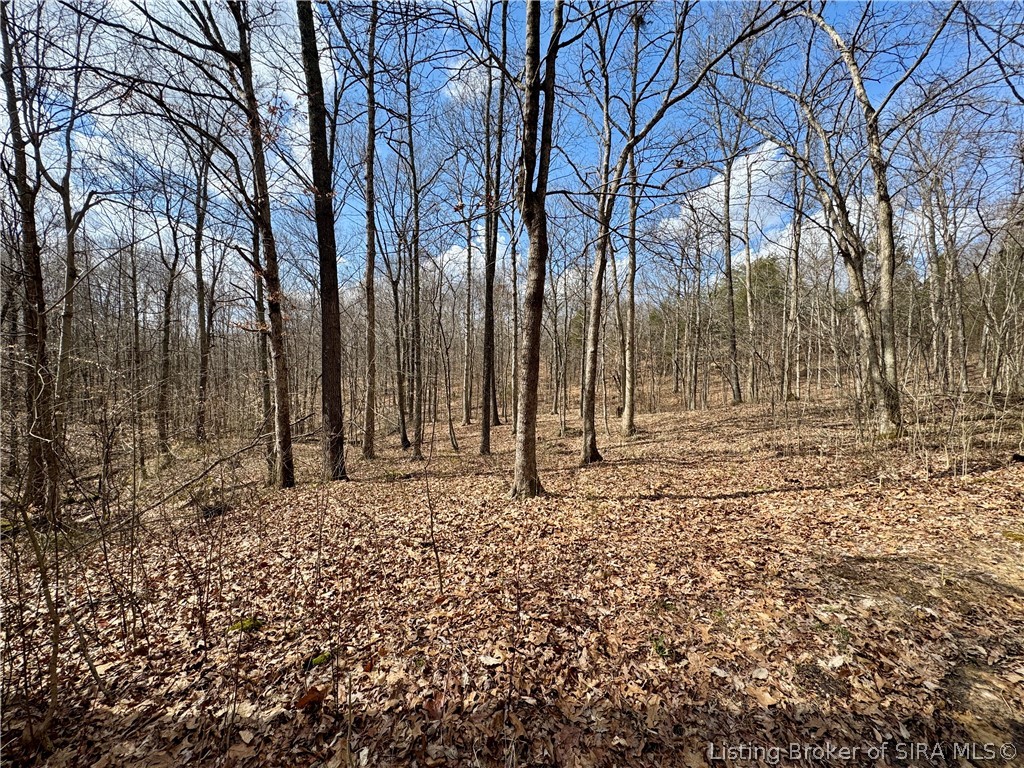 125 West Co Road Paoli, IN 47454 - Photo 12 of 23 Gallery Image 12
