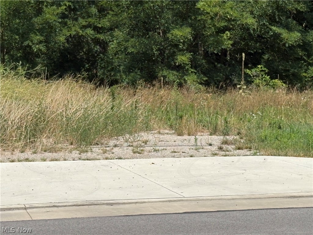 5395 North Ridge Road Madison, OH 44057 - Photo 1 of 7