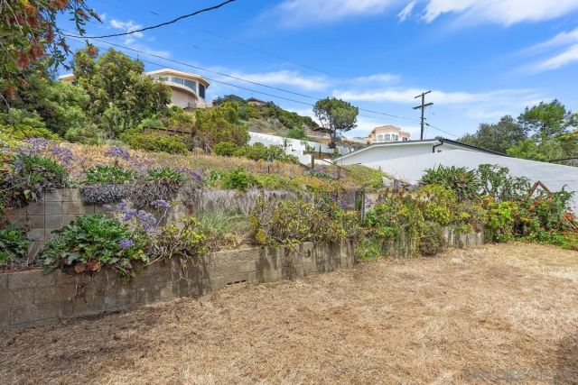 a view of a yard with a tree