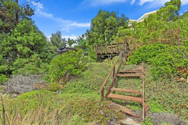 a view of a yard with plants