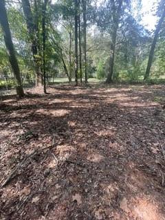 1184 Robert Hardeman Road Winterville, GA 30683 - Photo 7 of 20