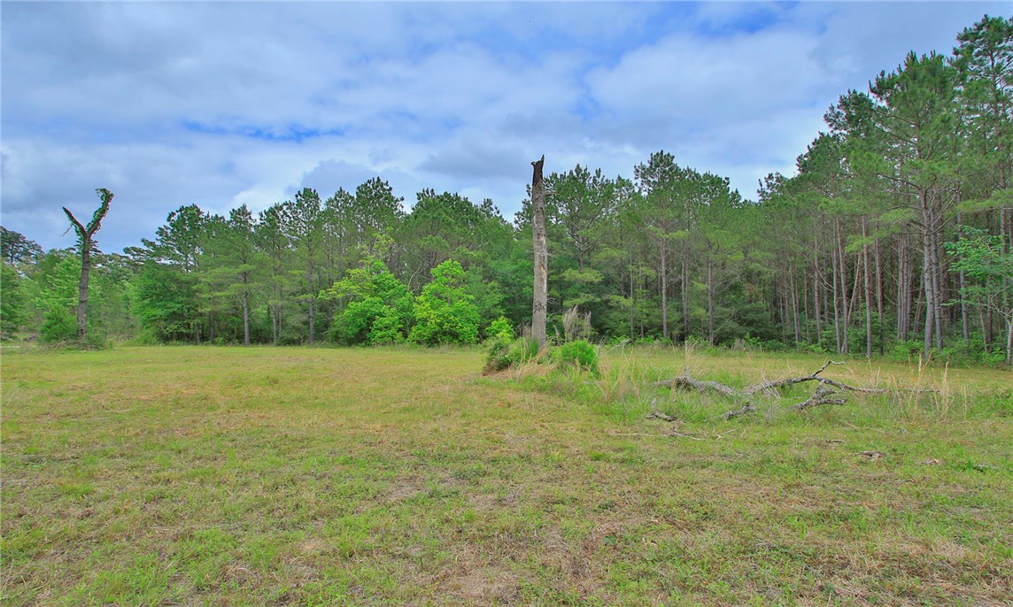 5914 Carter Road Waller, TX 77484 - Photo 21 of 41
