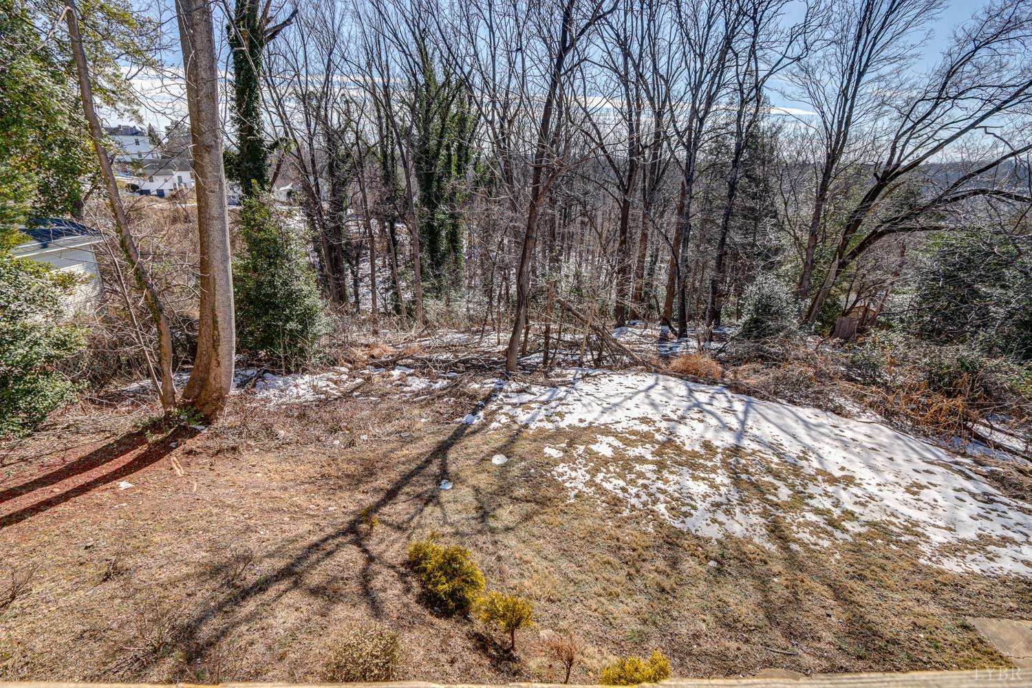 809 Byrd Street Lynchburg, VA 24504 - Photo 49 of 53