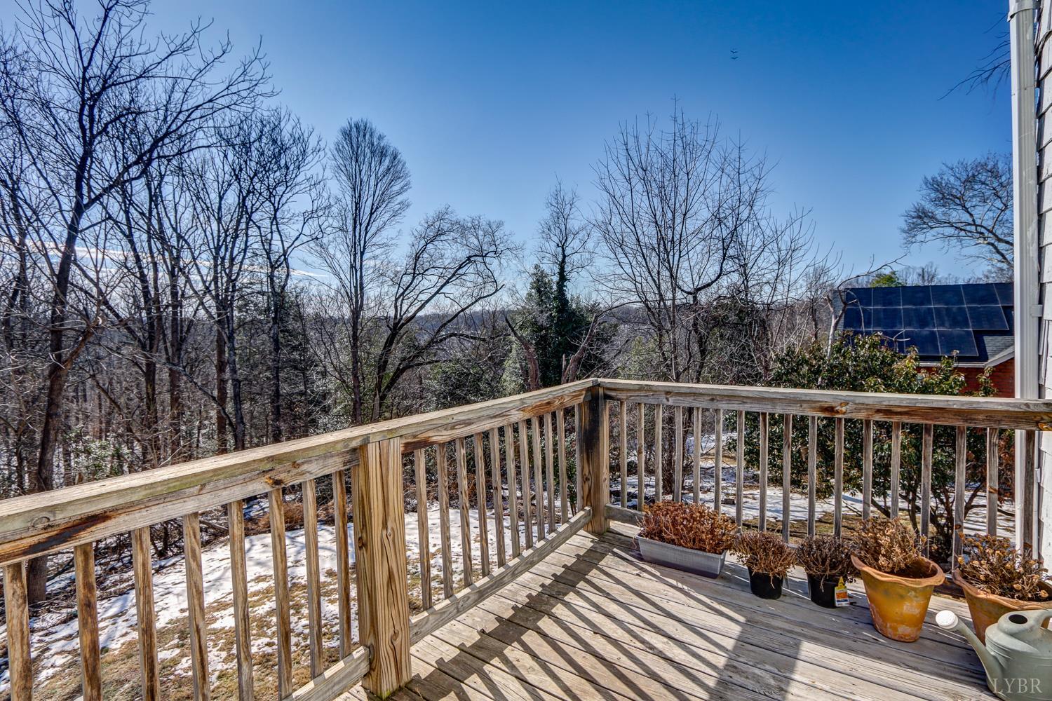 809 Byrd Street Lynchburg, VA 24504 - Photo 50 of 53