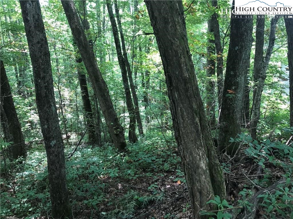 Maplewood Circle Boone, NC 28607 - Photo 2 of 5 Gallery Image 2