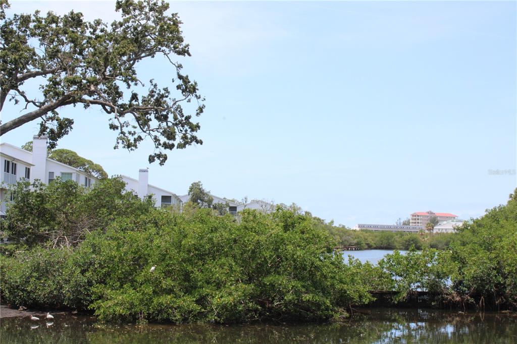 9722 Indian Key Trail, Unit 116 Seminole, FL 33776 - Photo 57 of 65