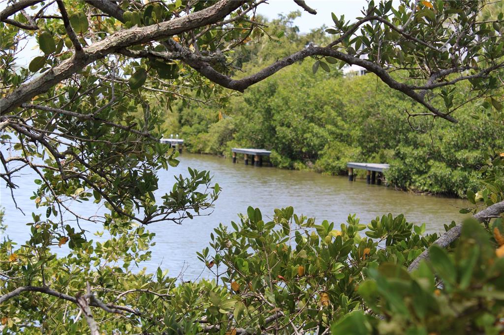 9722 Indian Key Trail, Unit 116 Seminole, FL 33776 - Photo 58 of 65 a view of a lake with a tree