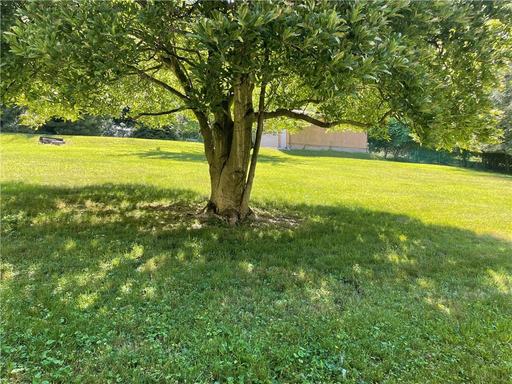 819 Sherwood Road Pittsburgh, PA 15221 - Photo 18 of 22 Gallery Image 18