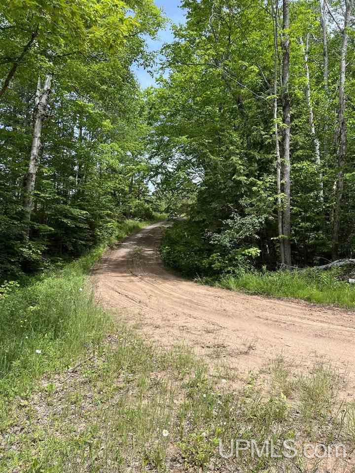 Tbd Tbd Off Puuri Road Atlantic Mine, MI 49905 - Photo 20 of 34
