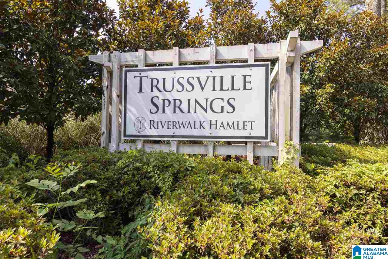 6555 Spring Street Trussville, AL 35173 - Photo 3 of 15