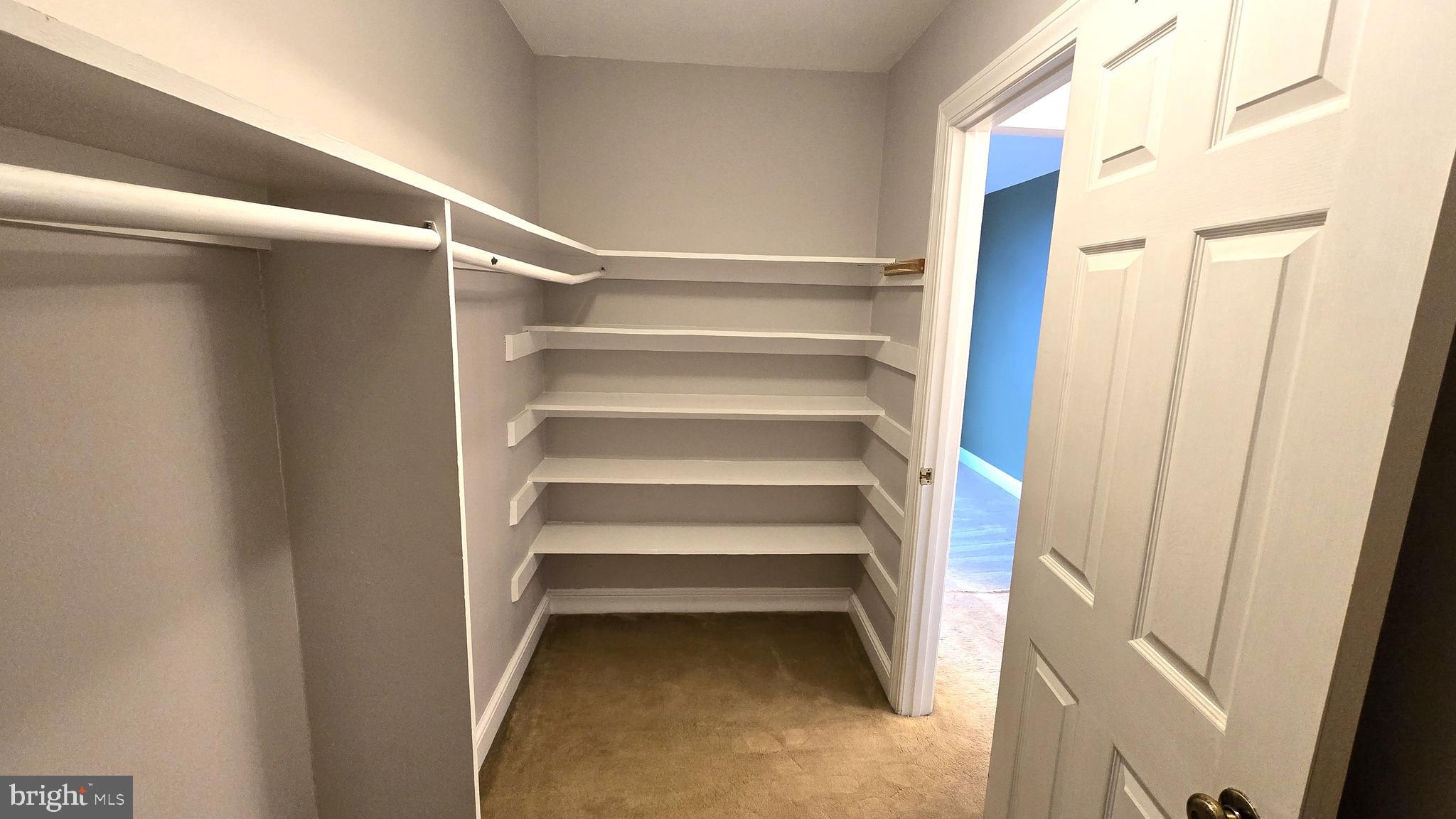 310 Henrico Road Front Royal, VA 22630 - Photo 40 of 71 Primary Bedroom Walk-In Closet