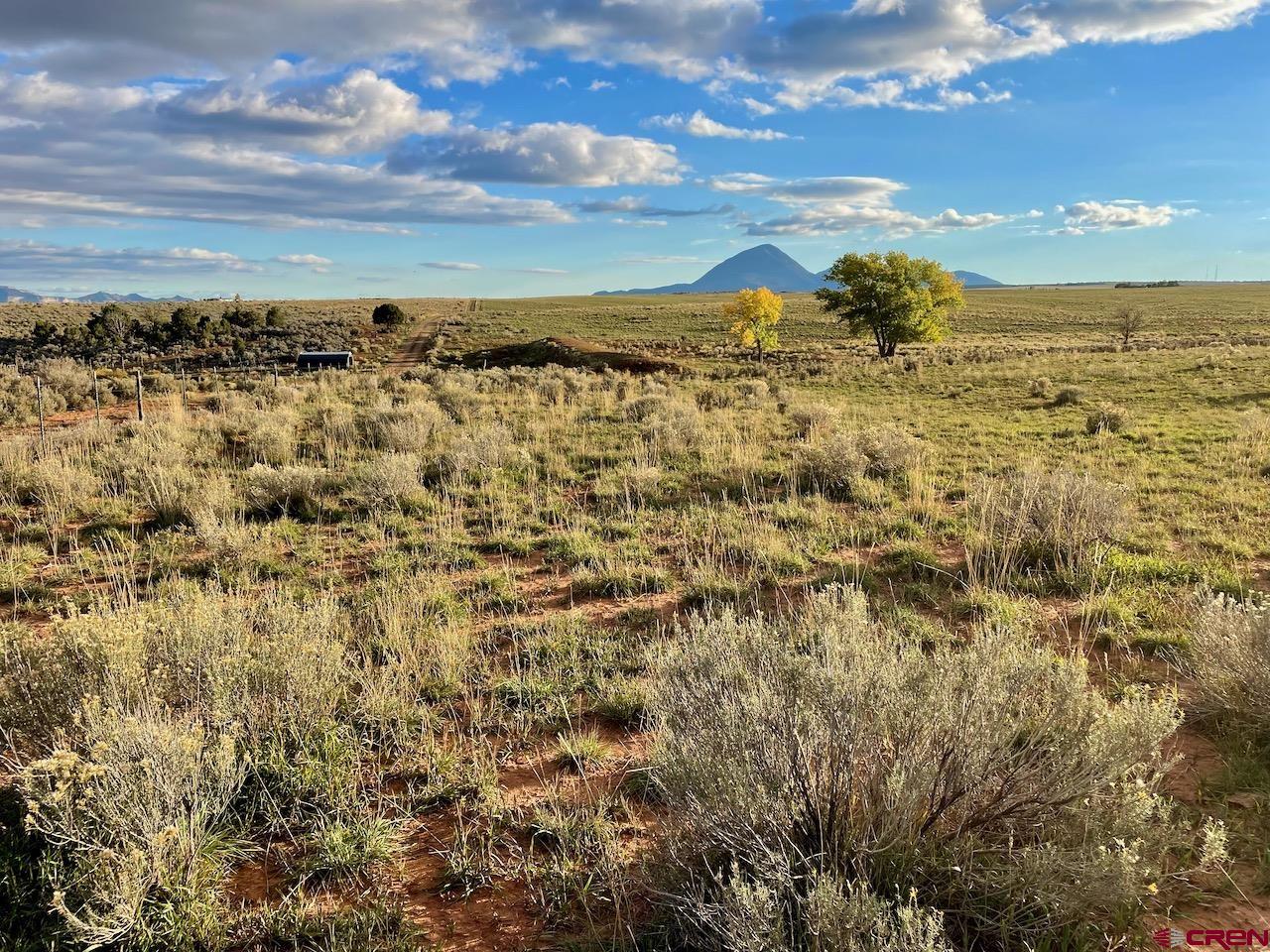 17 Road 17 Cortez, CO 81321 - Photo 14 of 19