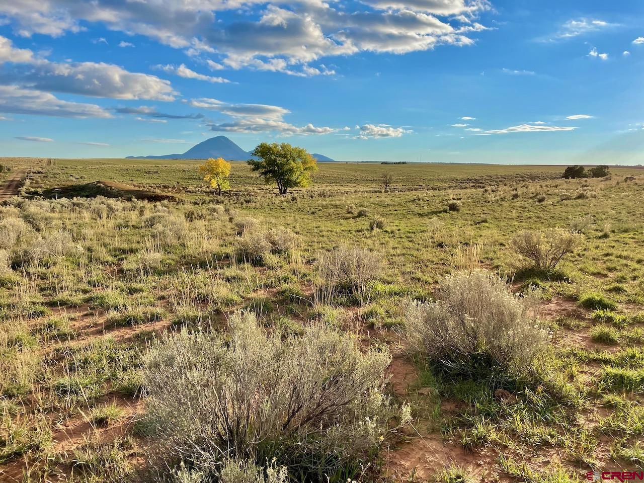 17 Road 17 Cortez, CO 81321 - Photo 15 of 19