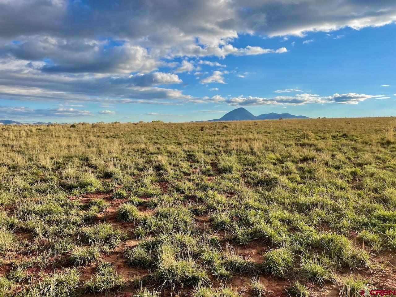17 Road 17 Cortez, CO 81321 - Photo 16 of 19 a view of city and mountain